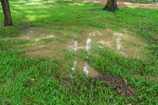 Cost of Storm Water Drainage Service in Tempe