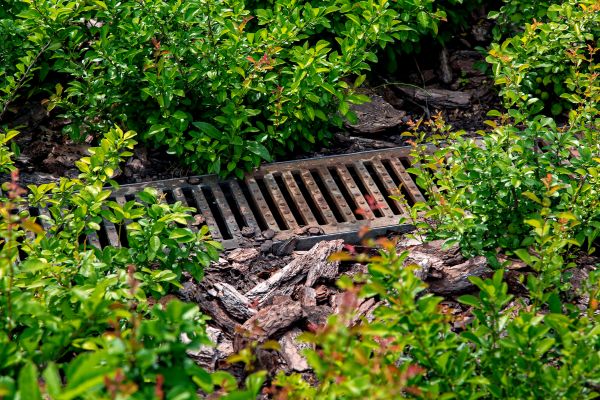 Cost of Underground Drainage Service in Tempe