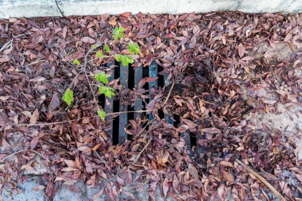 Cost of Yard Drain Unclogging in Tempe