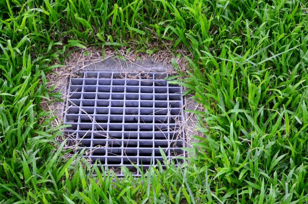 Cost of Yard Water Drainage in Tempe