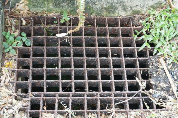 Cost of Yard Drain Cleaning in Tempe