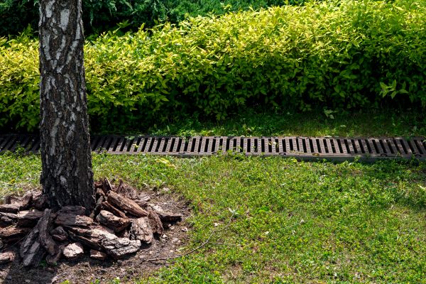 Cost of Wet Yard Drainage in Tempe