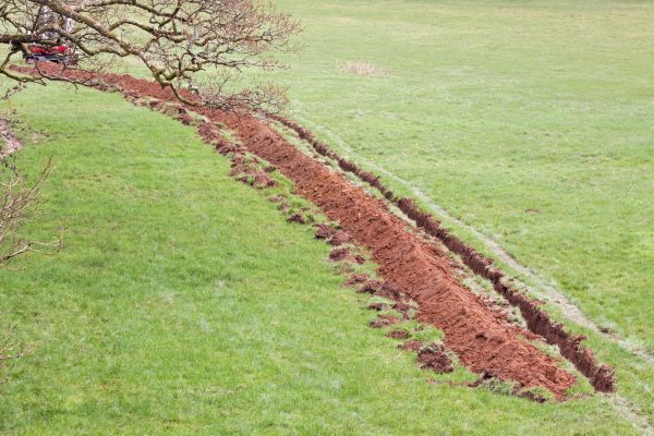 Cost of Swale Installation in Tempe