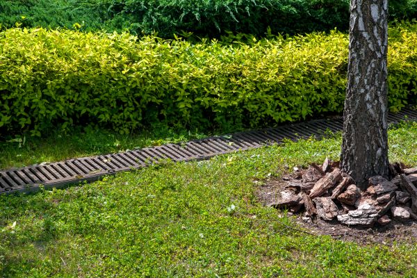 Cost of Residential Landscape Drainage in Tempe