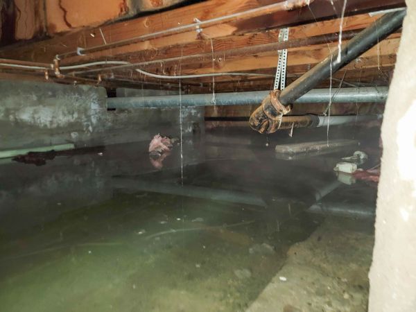 Cost of Crawlspace Drainage in Tempe