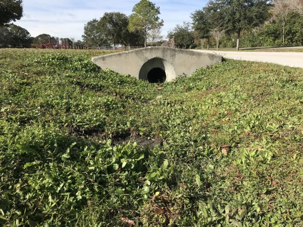 Cost of Swale Drainage Service in Tempe